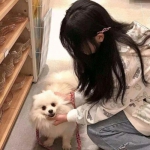 王权之争手游果盘版下载